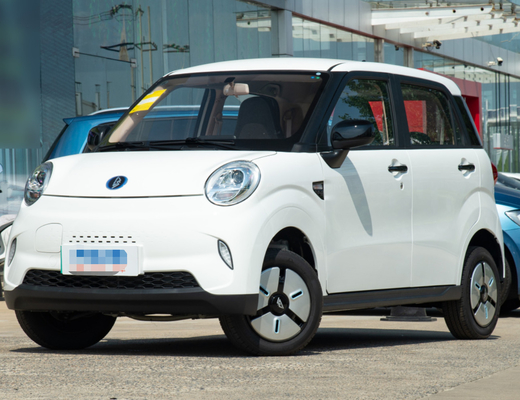 LINGBOX elektrisch Mini Cars 4 seaters met 205KM Duurzaamheids Drijfbereden politie