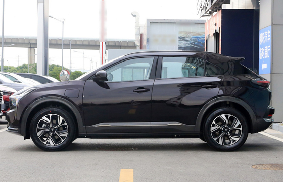400km LFP Type Klein Elektrisch SUV met het Fosfaatbatterij van het Lithiumijzer