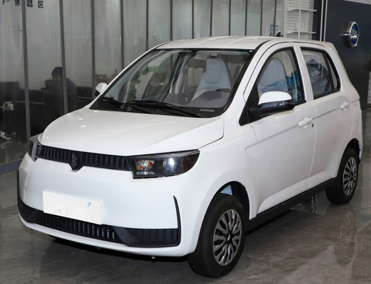 Het Lithiumbatterij van de Eco Vriendschappelijke COCO Elektrische Auto 100km/H voor Jongeren